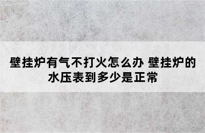 壁挂炉有气不打火怎么办 壁挂炉的水压表到多少是正常